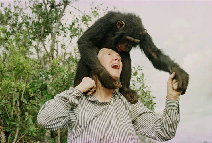 Jane Goodall, conservationist renowned for chimpanzee research and environmental advocacy, has died